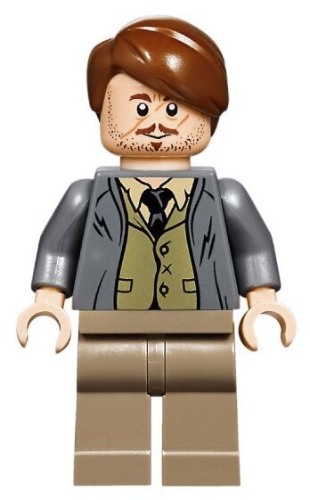 Конструктор LEGO Harry Potter 75955 Хогвартс-экспресс — фото 15