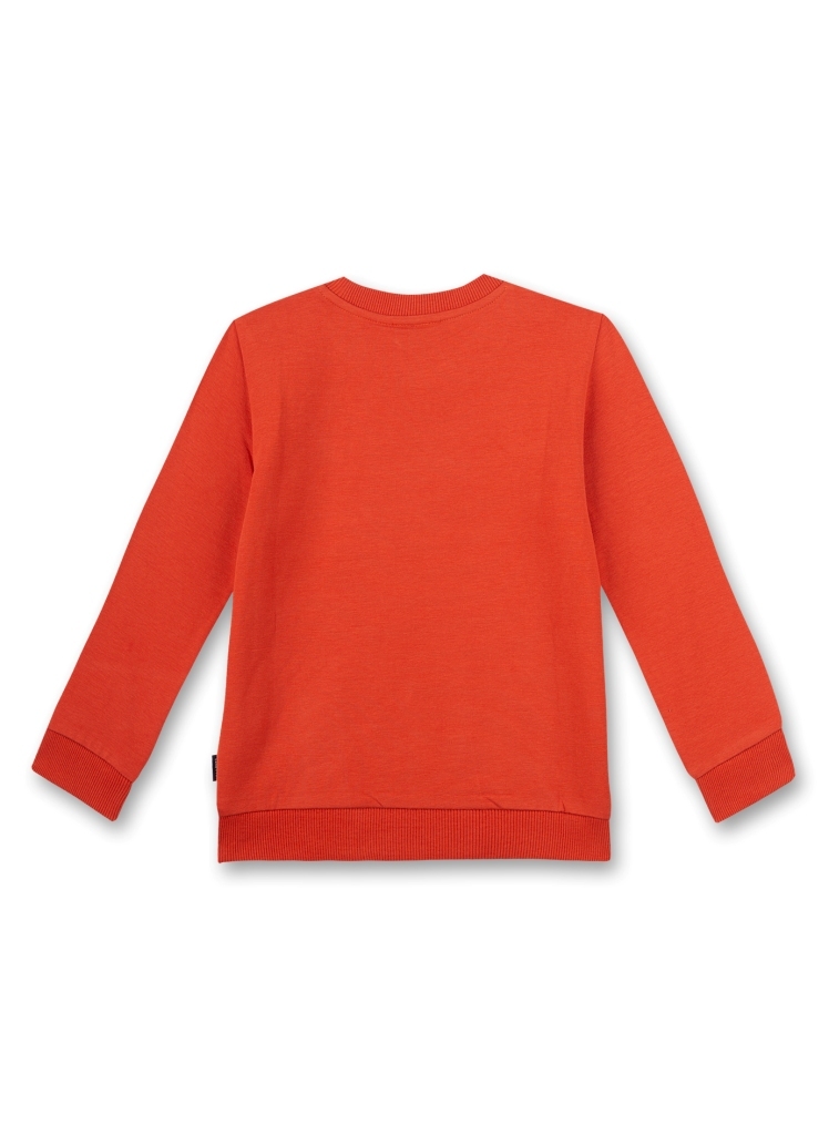 Толстовка Sanetta KIDSWEAR 126169 22076 — фото 2