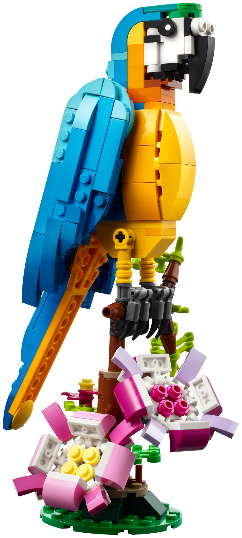 Конструктор LEGO Creator 31136 Экзотический попугай — фото 3